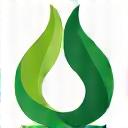 Sustainable practices icon