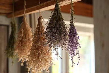 Delicate roses and hydrangeas hanging upside down in a dimly lit, airy room, air-drying for preservation
