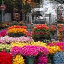 A bustling wholesale flower market scene with diverse vendors and abundant fresh flowers, representing access to resources.